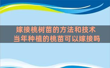 嫁接桃树苗的方法和技术 当年种植的桃苗可以嫁接吗